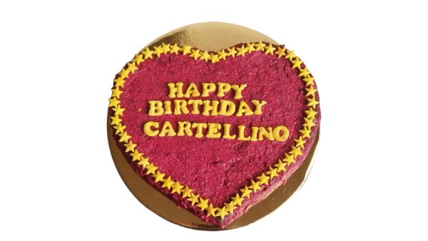 Homemade Dog's Cake - Image 5