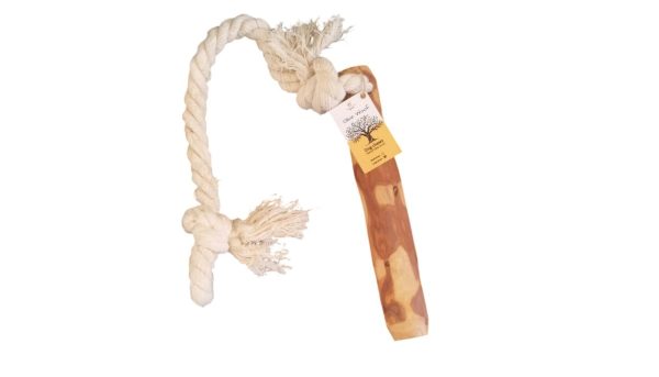Olive Woof Tug & Chew Basic