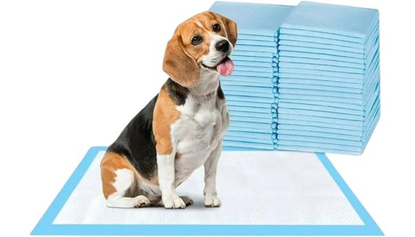 50 Potty Training Pads 60*90cm