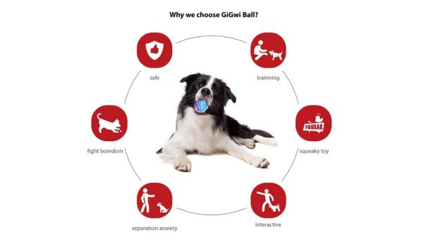 gigwi ball squeaker small - Image 2