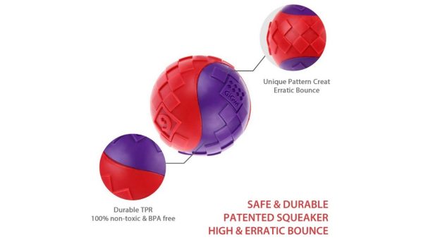 gigwi ball squeaker small - Image 3