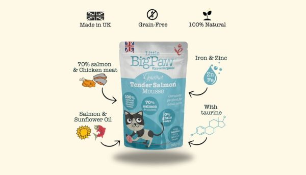 Little Big Paw - Gourmet Atlantic Salmon Mousse For Cats (85g) - Image 2