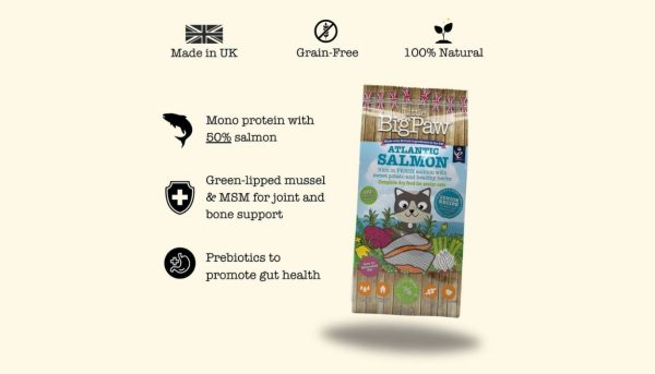 Little Big Paw Atlantic Salmon Complete dry food for Senior Cats - Image 2