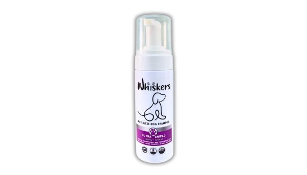Whiskers Honey Orchid Dog Foam Shampoo