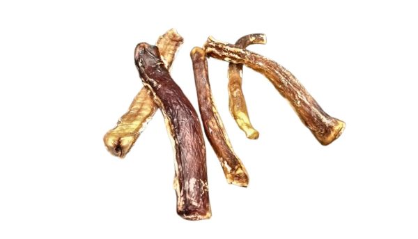 Bully Sticks Mini - Image 2