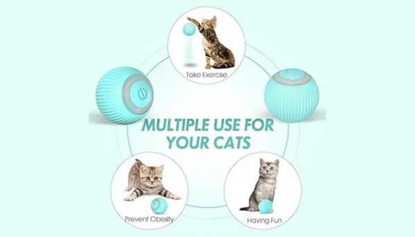Recheargeable Interactive Cat Ball - Image 6